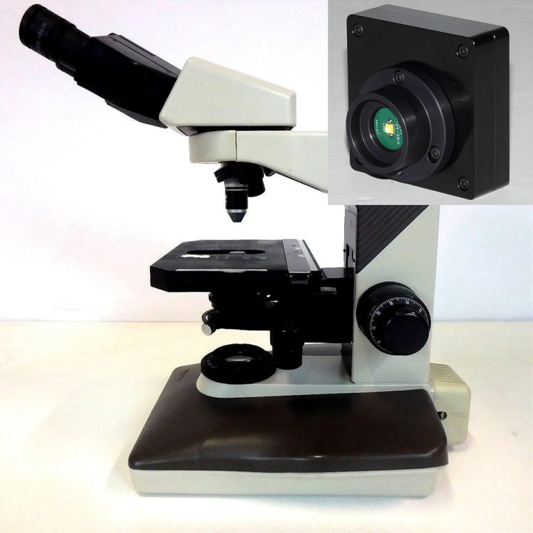 Nikon Labophot 2 Illuminator