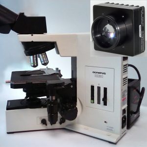 Olympus BX50 Bottom Illuminator