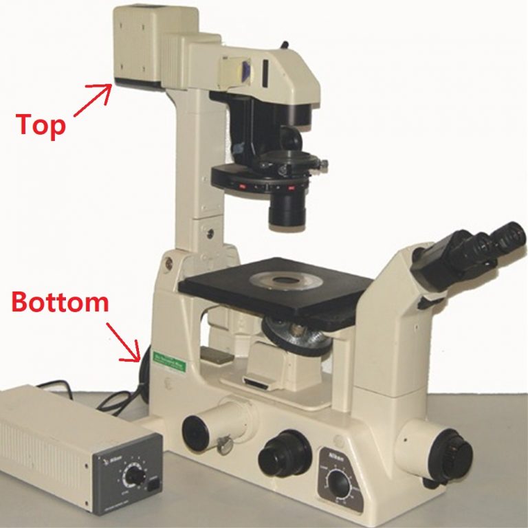 Nikon Diaphot 200 100W Top Illuminator - Image 2