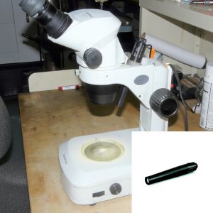 Olympus SZ Stereo Zoom Illuminator