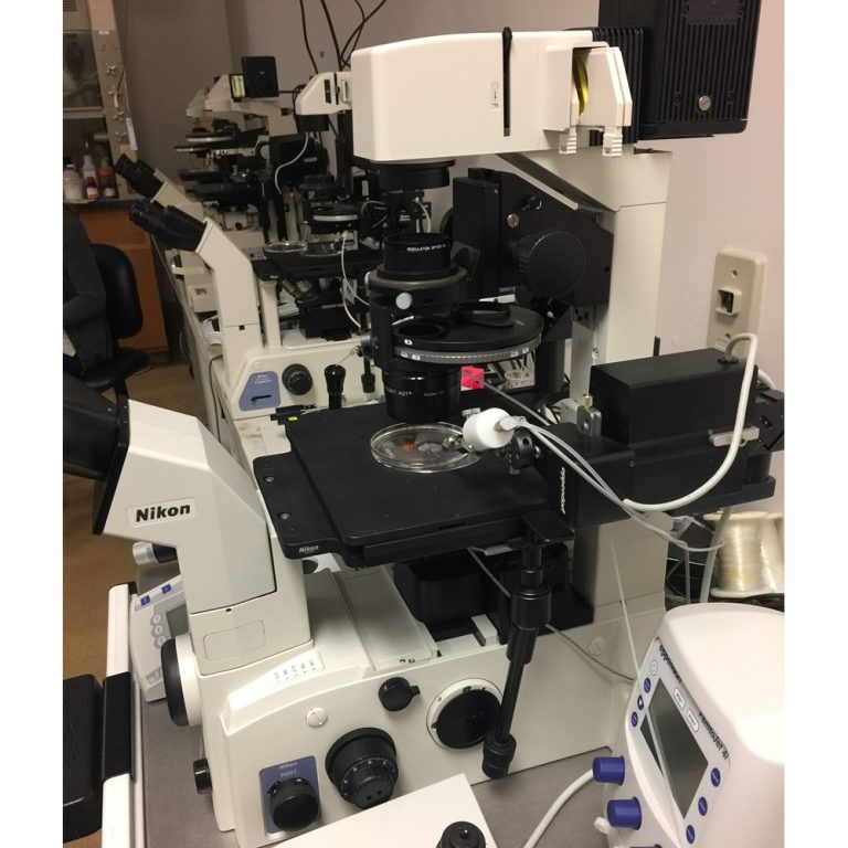 Nikon Eclipse TE2000 microscope