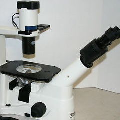 Fisher inverted microscope