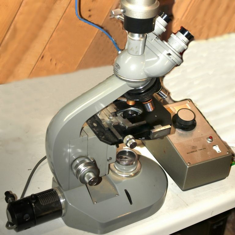 Olympus FH microscope with OEM illuminator