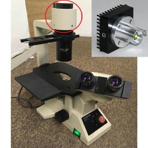 Olympus CK2 Illuminator