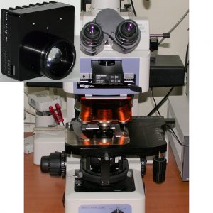 Nikon E800 Illuminator