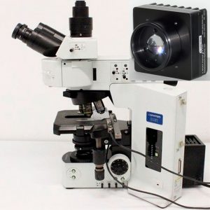 Olympus BX61 Bottom Illuminator