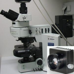 Olympus BX61 Top Illuminator