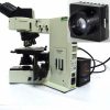 Olympus BX60 Bottom Illuminator