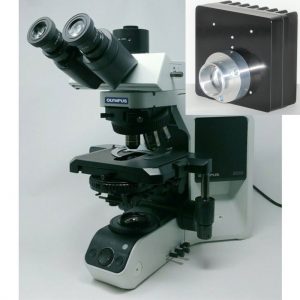 Olympus BX53 Illuminator