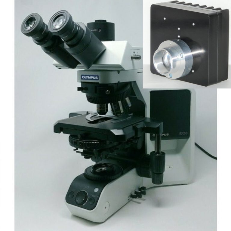 Olympus BX53 Illuminator