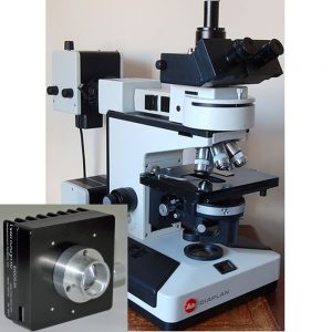 Leitz Diaplan / Orthoplan II / Aristoplan Illuminator