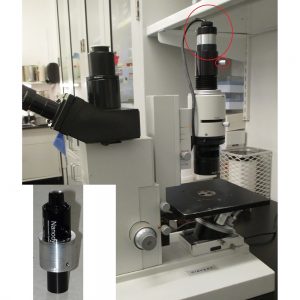 Leitz Diavert Illuminator